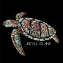 Lined Painted Turtle – LC-FB (24-2119)
