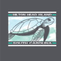 Turtle – LC-FB (24-2121)